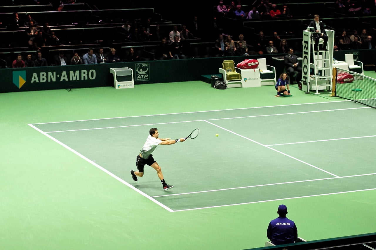 sport-green-indoor-professional-player-2015-441956-pxhere.com