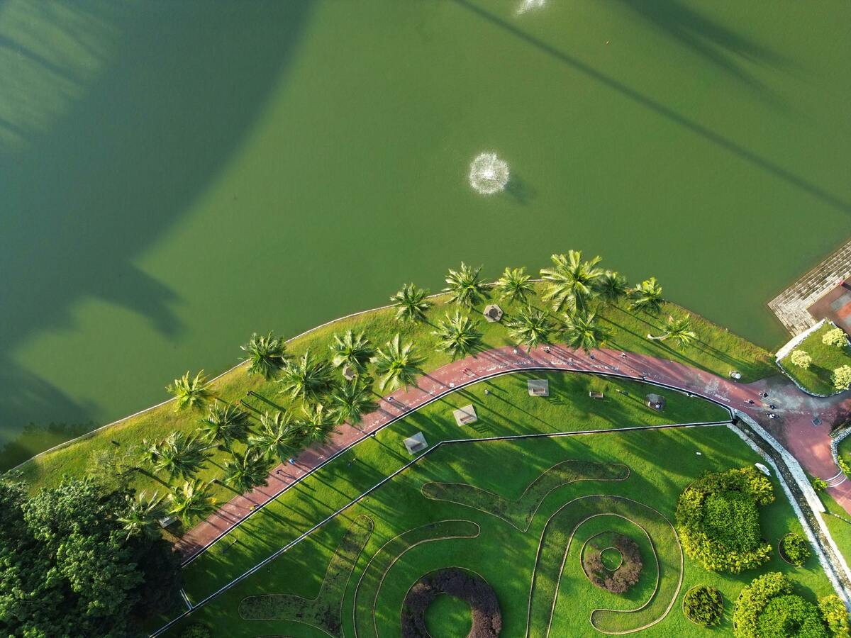 tree-terrestrial-plant-urban-design-plant-grass-landscape-1689276-pxhere.com