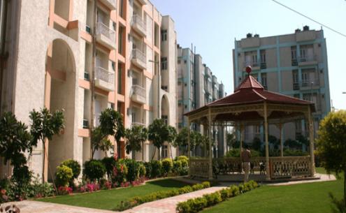 DDA Image